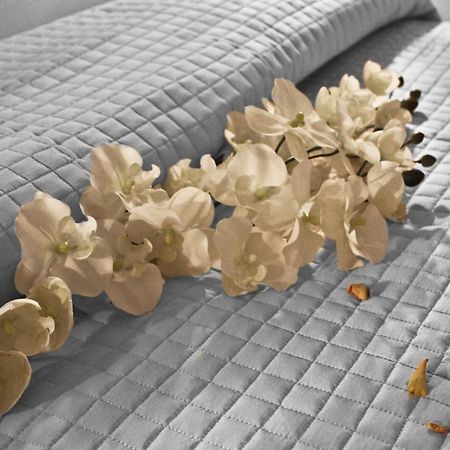 Anastasi Hotel E Residence Τσέρβια Δωμάτιο φωτογραφία
